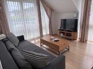 a living room with a couch and a tv at Apartment Traunkai Zauner Blick in Bad Ischl
