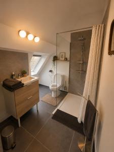 a bathroom with a shower and a toilet and a sink at Les lodges d'Eva de Chièvres in Chièvres