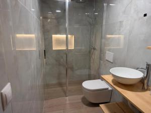 a bathroom with a shower and a toilet and a sink at Loft A el Ramellet in Alginet