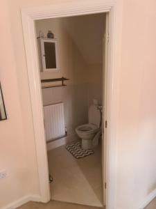 a bathroom with a toilet and a mirror and a door at Fv Dwelling in Hucknall