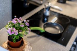 a vase with purple flowers sitting on a counter at B&B We CaRe Appartamento in Lendinara +21 photos