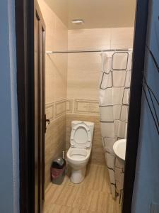 a small bathroom with a toilet and a sink at LouNik Kobuleti in Kobuleti