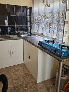 a kitchen with a sink and a stove in it at Peace and Quiet accomodation in Richards Bay