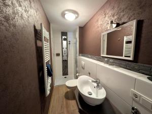 a bathroom with a sink and a toilet and a mirror at Wald Villa Üssbach in Alf