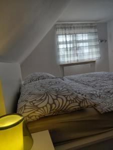a bedroom with a bed and a window at Apartment Robin in Karlovy Vary