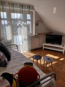 a living room with a couch and a flat screen tv at Apartment Robin in Karlovy Vary