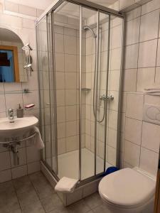 ein Badezimmer mit Dusche, Toilette und Waschbecken in der Unterkunft Hotel Grimsel in Obergesteln + 49 Fotos