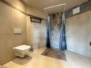 a bathroom with a toilet and a shower at Apartment Weilburg Lahnblick in Weilburg