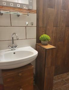 a bathroom with a sink and a potted plant at BODZA Apartment in Tompa +14 photos