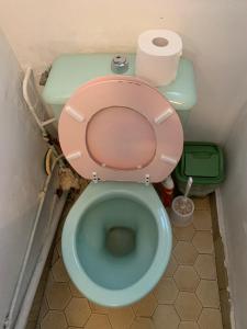 a toilet with a pink seat in a bathroom at Chambre à Montmartre in Paris +4 photos