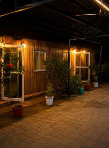 a patio with potted plants and lights on a building at Poolside Paradise in Ghaziabad
