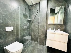 a bathroom with a shower and a toilet and a sink at Tanushi Central Apartments in Vau i Dejës