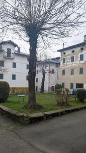 a park with a tree and a bench next to a building at Appartamento al Quadrato in Lorenzago