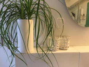 un vaso bianco con una pianta su uno scaffale di La Mansarda di Margherita a Treviso