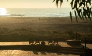 a group of chairs sitting on the beach at Hotel Punta Sirena in Curanipe