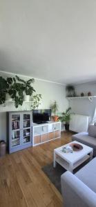 a living room with a couch and a table at Apartament Maciejkowa in Szczecin