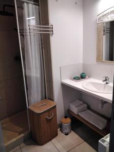 a bathroom with a shower and a sink at Maison de la Source in Leychert +58 photos