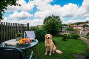 a dog sitting next to a table with a bowl of fruit at Harzurlaub mit 2 Hunden - FeWo Alte Schule in Sankt Andreasberg in Sankt Andreasberg