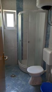 a bathroom with a shower and a toilet in it at Studio apartmani Ante in Zaostrog +39 photos