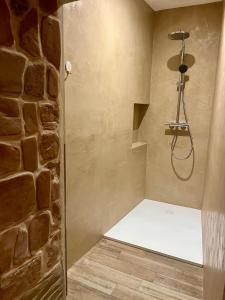 a shower in a bathroom with a brick wall at Appartement 93m2 Cosy - 2 chambres in Wimmenau