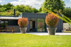 two potted plants in front of a house at Le Rameau Gîte avec spa et étangs privés in Langey
