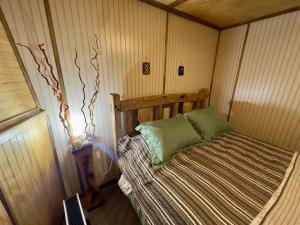a bedroom with a bed in a room with wooden walls at Oceana Suites Coyhaique in Puerto Dunn +26 photos