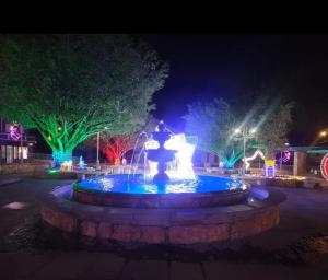 a fountain in a park at night with lights at Studio comodo con aire acondicionado in Caguas