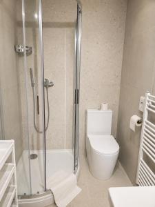 a bathroom with a toilet and a glass shower at Penzion Centrum in Sklené Teplice