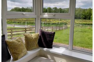 a window with three pillows sitting on a window sill at Cottage - Sleeps 6 - Parking in Letterkenny
