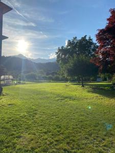a field of grass with the sun in the background at Cascina Vica Biella in Andorno Micca