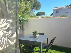 a table with a potted plant on a patio at La Casadrine in Le Grau-dʼAgde +8 photos