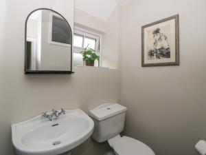 a bathroom with a sink and a toilet and a mirror at Arosfa in New Quay +23 photos