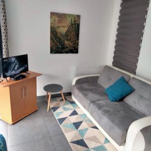 a living room with a couch and a television at Au petit Mittlach in Mittlach