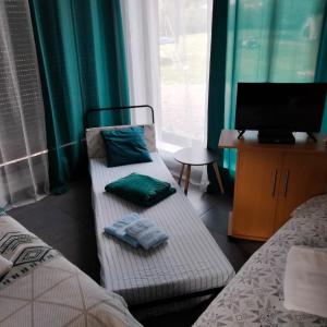 a room with two beds and a tv on a table at Au petit Mittlach in Mittlach