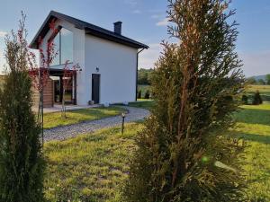 a house in the countryside with a christmas tree at Italian House Bieszczady in Bachlowa