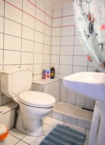 a bathroom with a toilet and a sink at Thalia Sea View Apartment in Nea Peramos +28 photos
