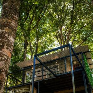a tree house with a blue railing next to a tree at Natural Glamping Cocorna in Cocorná