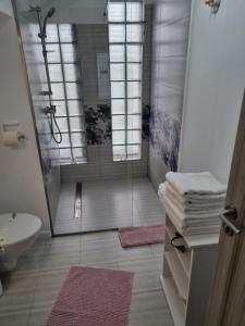 a bathroom with a shower and a toilet and a sink at Vila Siena in Sulina +41 photos