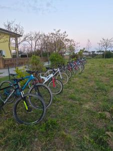 a row of bikes parked in a field at Agriturismo Arkadia in Vasto