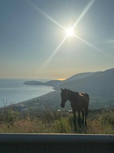 a horse standing on top of a hill with the sun at Horizonte Blu in Borsh +4 photos