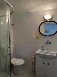 a bathroom with a toilet and a sink and a mirror at Apartmán Gál 1 in Kvačany