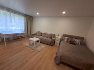 a living room with a couch and a table at Levanda apartment in Visaginas
