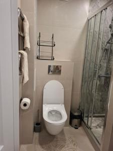 a small bathroom with a toilet and a shower at Levanda apartment in Visaginas