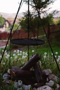 a swing in the middle of a garden at Mały Domek & Chatka Panorama in Lipowa