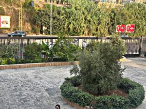 a person standing in a courtyard with a bush at chalet in saint remon in Al ‘Ayn