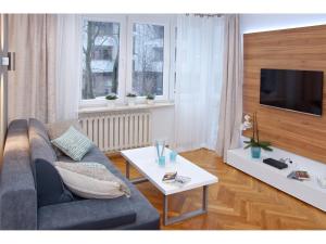 Televízia a/alebo spoločenská miestnosť v ubytovaní Srebrna Warsaw Apartment