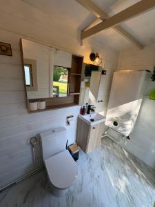 a bathroom with a toilet and a sink at Chalet Le CERF in Marigny