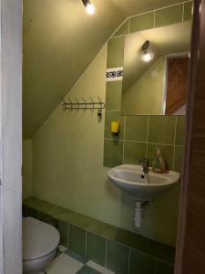 a bathroom with a sink and a toilet at Apartmán Gál 2 in Kvačany