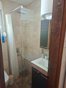a bathroom with a shower and a sink at Apartmani Jet Set in Bor