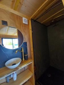 ein Badezimmer mit Waschbecken und Spiegel in der Unterkunft la douceur du sud jardin terrasse in Clermont-lʼHérault